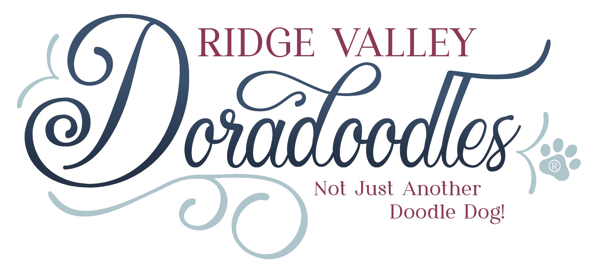 Ridge Valley Doradoodles